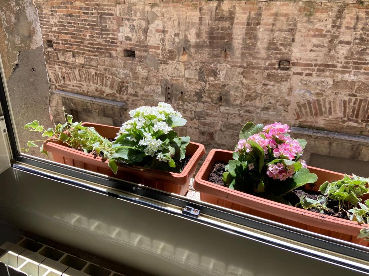 Al Bel Panorama Daire Perugia Dış mekan fotoğraf